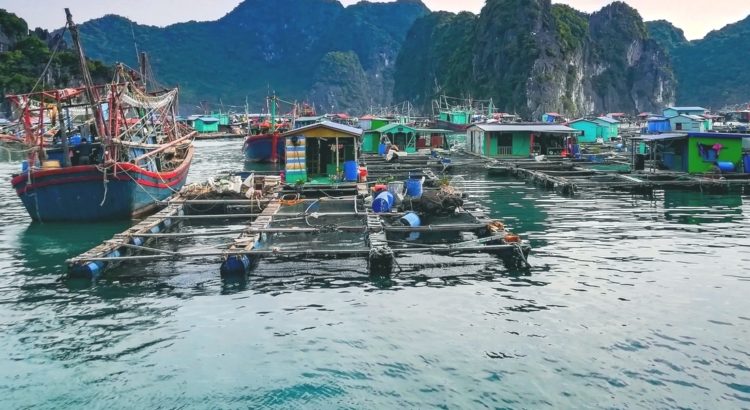 blog-voyage-couple-parfums-de-liberte-leo-et-julie-petit-budget-article-vietnam-guide-complet-baie